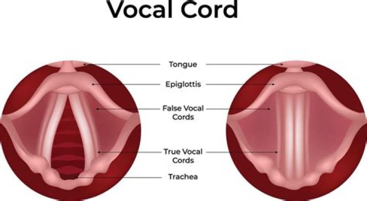 Listen Up! Chad Kroeger's Vocal Cord Troubles